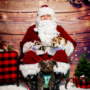 Fundraising Page: Jenna Riedi